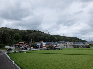 DSCF0176-20180907.jpg