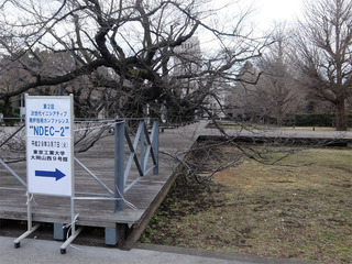 DSCF0775-20170306.jpg