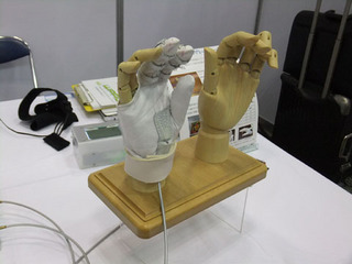DSCF1762-20120926.jpg