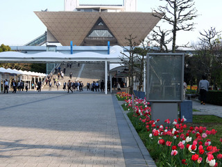 DSCF3887-20180404.jpg