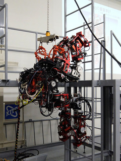 DSCF4390-20160116.jpg