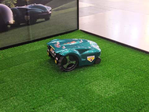 DSCF6475-20120517.jpg