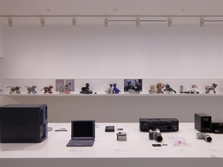 DSCF7225-20170108.jpg