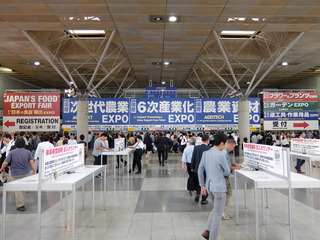 DSCF8016-20171011.jpg