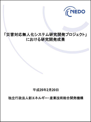 nedo20130220.jpg